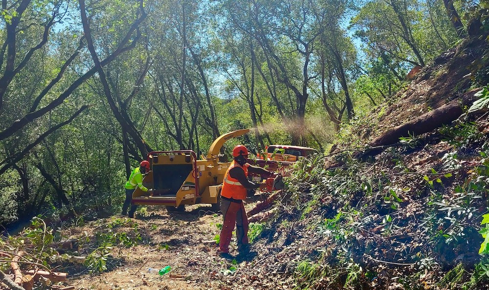 Vegetation Work Monitoring