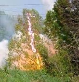 Vegetation Fire Monitoring
